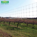 Recinzioni agricole recintate con recinzione in pvc